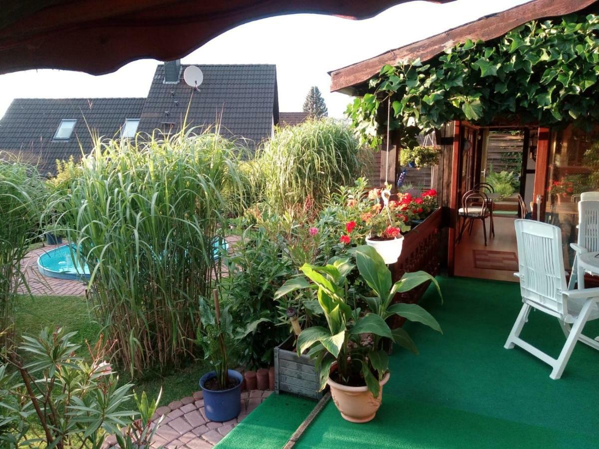 Ferienwohnung Blick Ins Land Goslar Ngoại thất bức ảnh