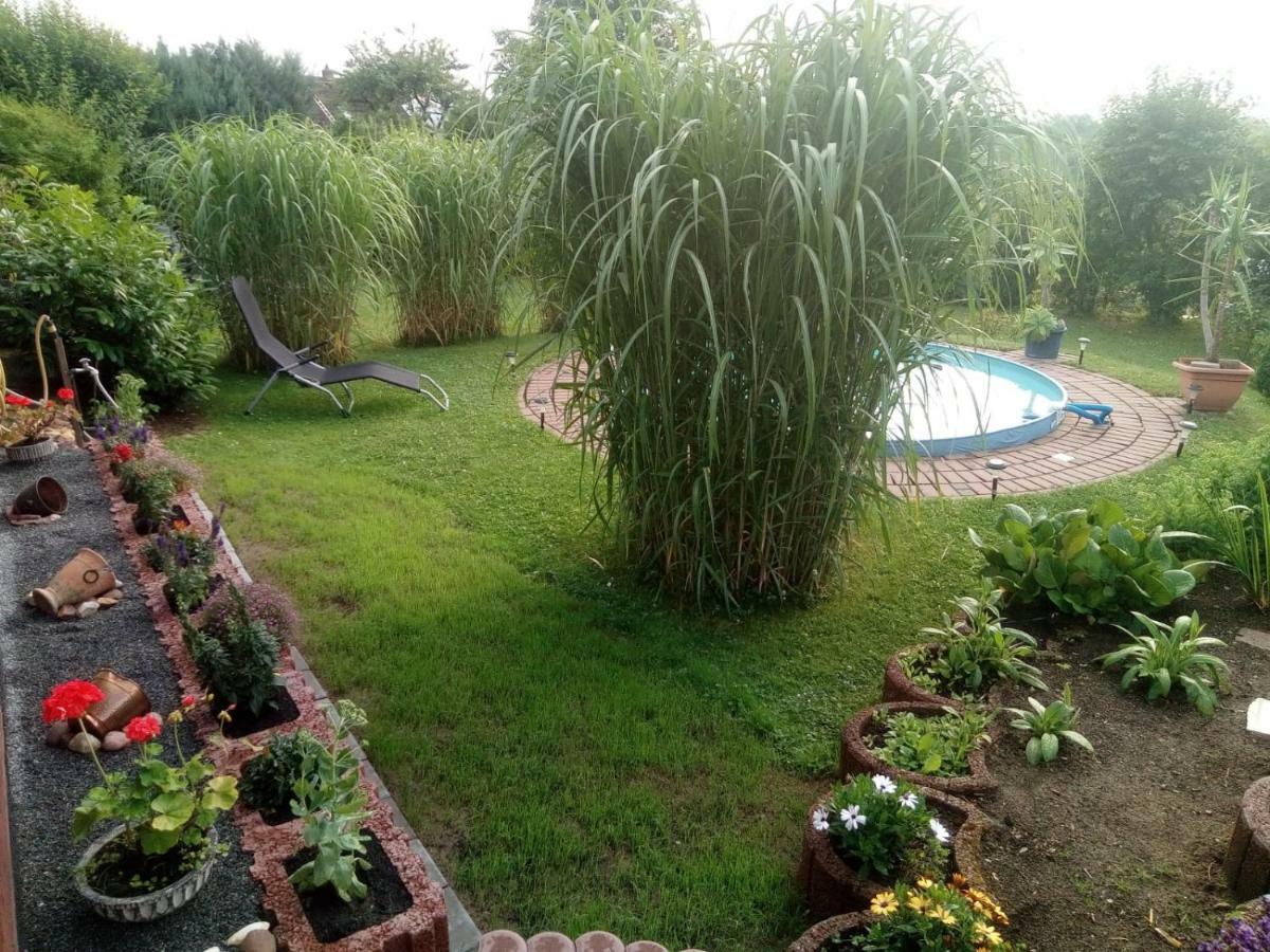 Ferienwohnung Blick Ins Land Goslar Ngoại thất bức ảnh